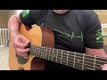 Martin Acoustic Guitar Demo Mexican GPCRSGT