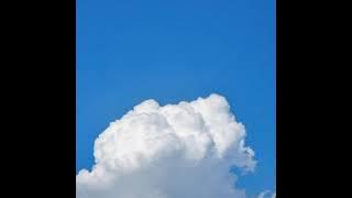 Shoyo - One Summers Day (Spirited Away)