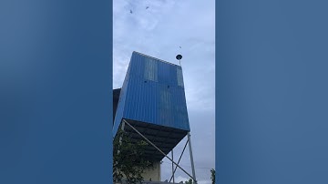 Update new External swiftlet sounds platinum 2020