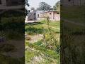 Farming for village 🌾🌾#farmer#ytshorts #trending #new punjabi song sheera jasvir 2025