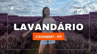 VLOG HETDORP, um LAVANDÁRIO em CARAMBEI - PR T01EP07