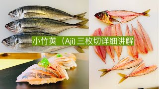 小竹荚鱼（Aji)的处理方法 How to prepare horse mackerel for sushi! #sushi #寿司 #小竹荚鱼#sashimi #刺身 #Aji#三枚切#刀工#日料