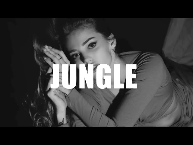 Alok, The Chainsmokers u0026 Mae Stephens - Jungle (Hiago Lopes Remix) class=