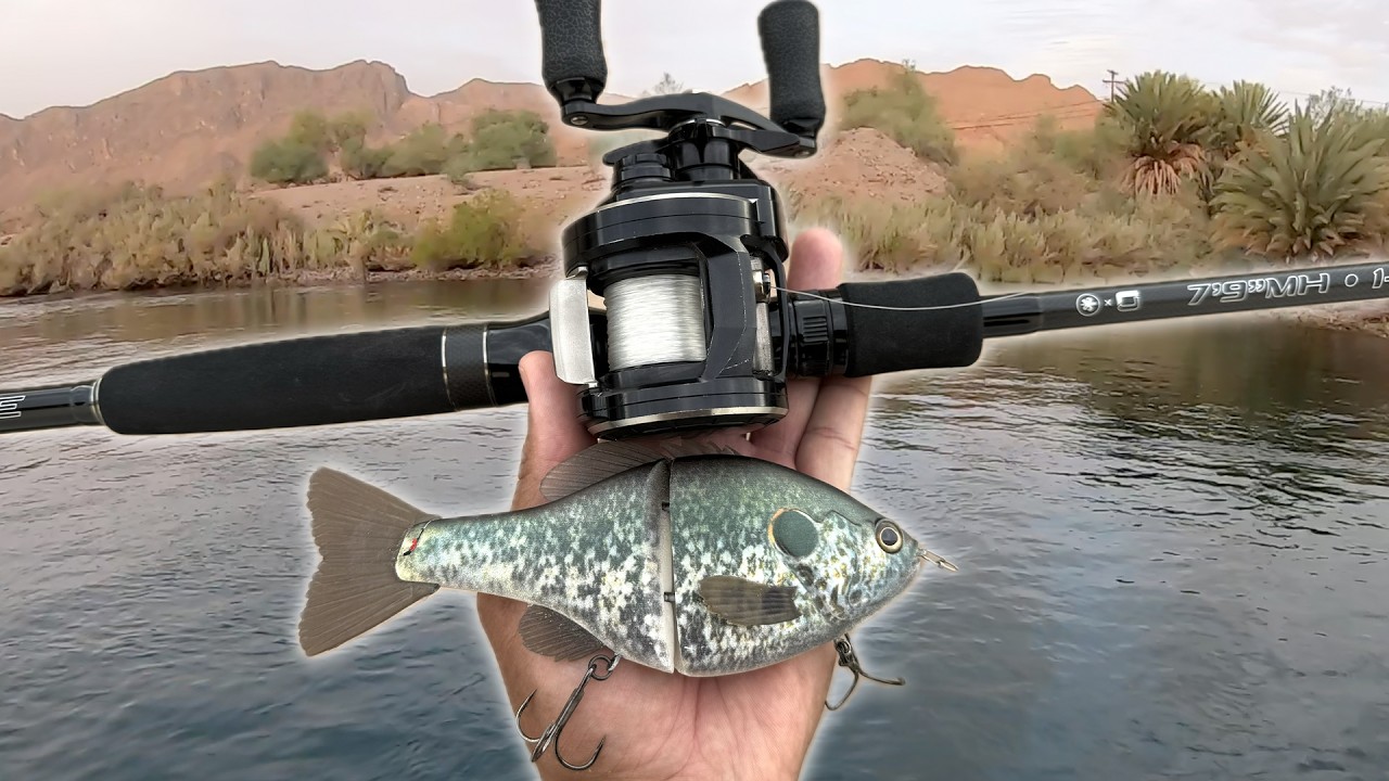 Is This the BEST NEW Swimbait Rod on the Market? | LDC x 86 Baits “PARABLE”