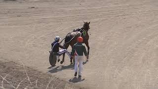 Vidéo de la course PMU PRIX STOLOPP