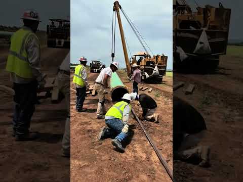 لن تصد ق ماذا وجدوا داخل الأنبوب