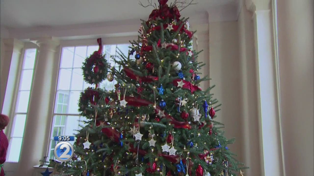Public display of living Christmas trees will be banned during the holidays YouTube