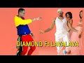 Lava Lava Nenda Ft Diamond Platnumz Official Video