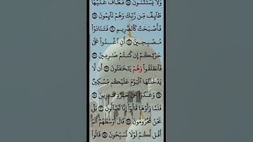 ايات من سوره القلم الشيخ ماهر المعيقلي ♥️❤️😔😔❤️😔🌳🌳🌺