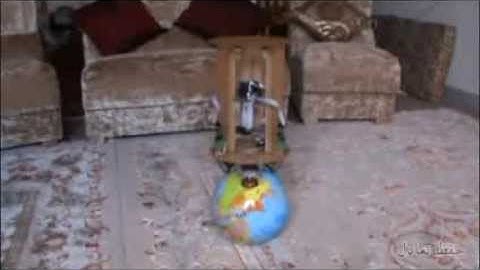Ball Balance Robot (derived by stepping motors and omni-directional Wheels)