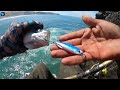 Tira y Jala de Caballas en (Peñas Rocas) Pesca Con JIG //How to fish with a jig from rocks//