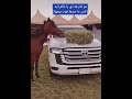 ترند التبذير والهياط ترند التبذير والهياط