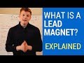 What Is A Lead Magnet? + 50 Lead Magnet Examples!
