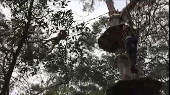 Enchanted Adventure Garden 2015 Enchanted Adventure Garden 2015