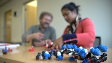 Peppytides: Interactive Models of Polypeptide Chains