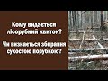 Чи можна збирати дрова в лісі? ч.2 (Кому видається лісорубний квиток. Чи можна збирати сухостій?)