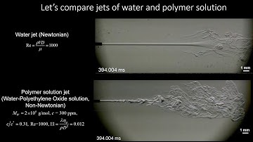 Stability of Turbulent Bio-polymer Jets