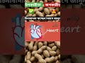 চিনাবাদাম খাওয়ার উপকারিতা/Peanut Benefits/Health Restart"