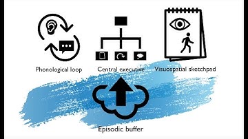 Making Learning Stick: A Teacher’s Guide to Student Memory (Part 2: Short-Term Working Memory)