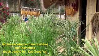 Nrhiav tav ntyj no mam ntsib koj