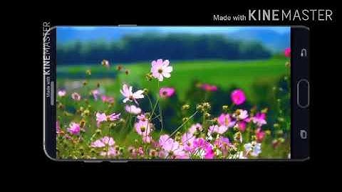super hit  ഹൃദയം നുറുങ്ങുന്ന വേദന..... Shaheen Babu song