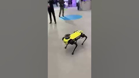 Robotic Security Monitoring Dog | AI inTech