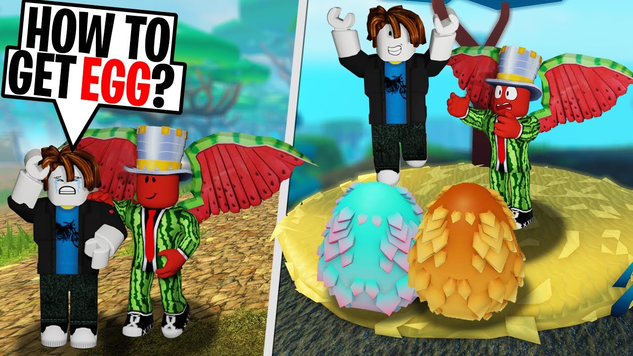 How To Get EGGS In 2021 ROBLOX Dragon Adventures YouTube how-to-get-eggs-in-2021-roblox-dragon-adventures-youtube