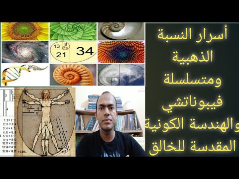 النسبة الذهبية بصمة الإله فى الطبيعة ومتسلسلة فيبوناتشى والهندسة المقدسة