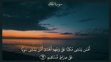 القرآن الكريم سورة الملك بصوت جميل جدا ❤#قرآن #قران_كريم