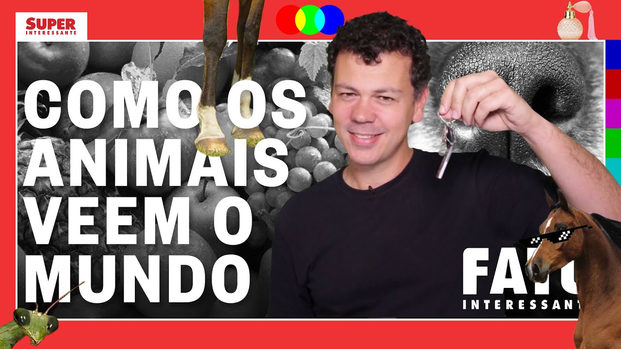 Como os animais veem o mundo - Fato Interessante #15 animais silvestres