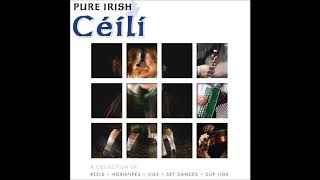 Pure irish Ceili | Reels, Hornpipes, Jigs, Set Dances & Slip Jigs | St Patrick's Day