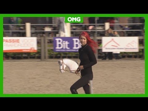 Stokpaardrijders geven show in Nederland