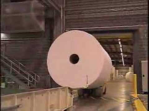 World Largest Toilet Paper Roll