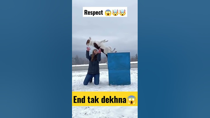#shorts #reels #respect #shortvideo #animals #pets #trending #tiktok #trend #short#shortsvideo#viral