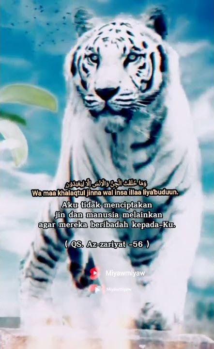 story wa macan putih l Tentang hadist #shorts #status #attitudestatus #story