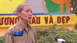 Bản Tin  Nam Định