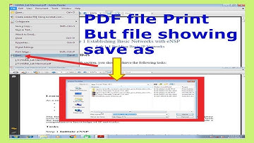 PDF error: the document could not be printed, PDF file print but file showing save as (100 %working)