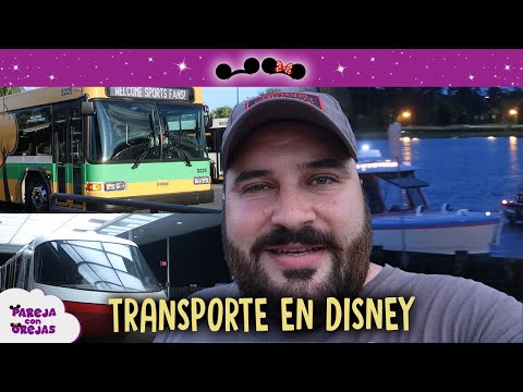 Video: Consejos de transporte para Disney World's Animal Kingdom