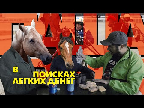 Техник: Тотализатор на скачках | В поисках легких денег #12