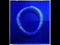 Till augustin presents nautilus a splendid blue glass wall sculpture