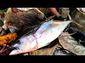 40 கிலோ கேரை மீனை அல்வா துண்டு போடும் நேரடிகாட்சி|big yellow fin Tuna cutting skills