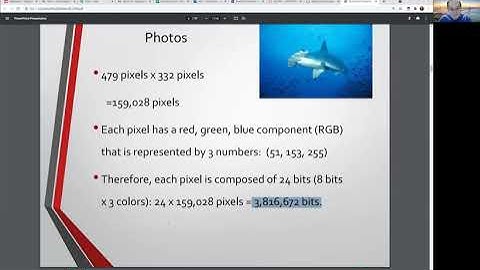 Rutgers CS170 Chapter 8