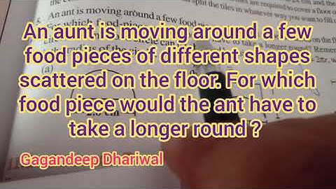 An ant is moving around a few food pieces of different shapes scattered on the floor. for which food