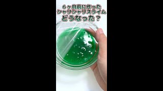 6ヶ月前のシャリシャリスライムはどうなった…？クリスマス風にアレンジも #shorts