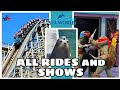SEA WORLD GOLD COAST - THRILLING RIDES &amp; SPECTACULAR SHOWS!
