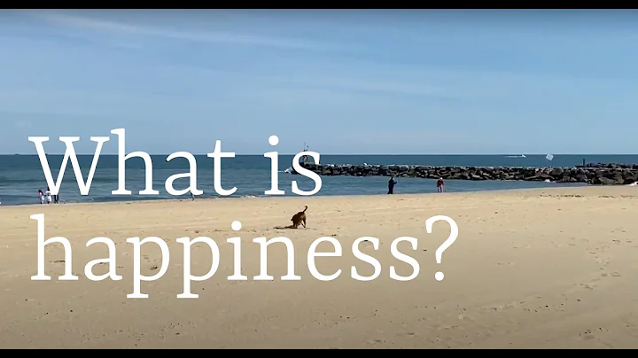 Welcome To Intentional Activities: What is Happine...