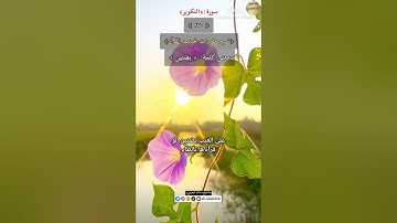معنى كلمة(بضنين)٢٧٠-شرح مفردات غريب القرآن/سورة التكوير،الشيخ خالد الحرمي.
