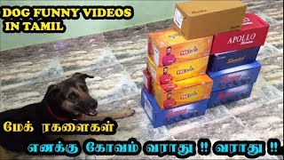 மேக் ரகளைகள் | எனக்கு கோவம் வராது !! வராது !!! | Funny Dog Videos in Tamil | Mac(k) Ragalaikal