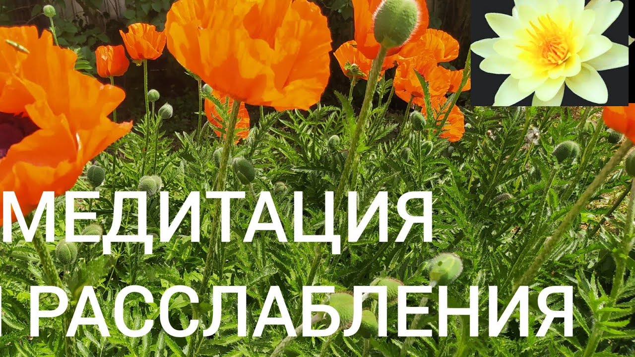 Практика для расслабления. Шавасана. Медитация. - YouTube