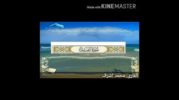 سورة الفيل بصوت الطفل ذو العشر سنوات محمد أشرف